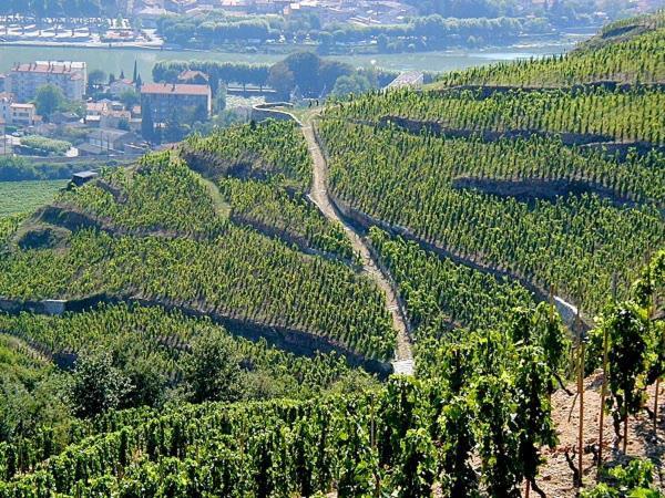 Gite Abricotier Crozes-Hermitage Exterior foto
